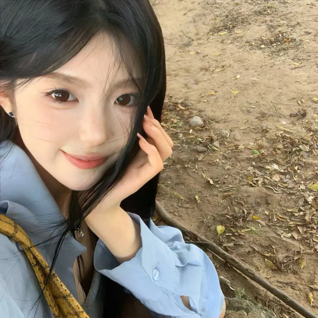 忍冬玫瑰